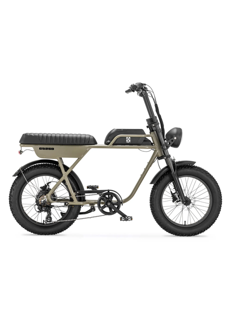 AGM GT250 Fatbike