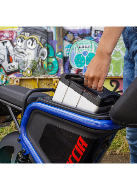 Goccia GEV 1000 30 ah accu keuze bij aankoop Goccia