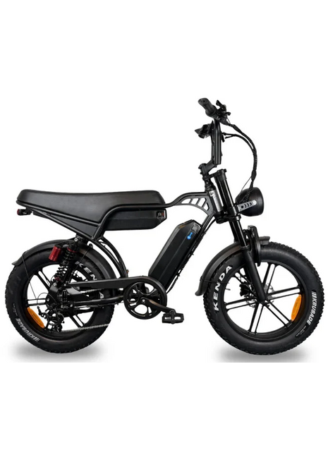 QMWheels V29 Pro Fatbike Dubbele Accu