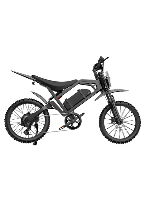 QmWheel V20 Cross Fatbike - Carbon - Skinnybike