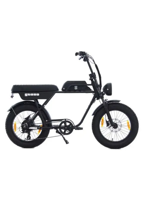 AGM GT250 Fatbike
