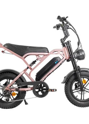 QmWheel V20 Mini Fatbike