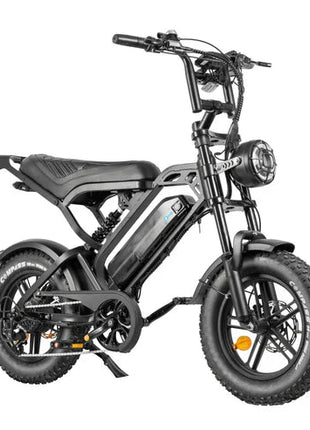 QmWheel V20 Mini Fatbike