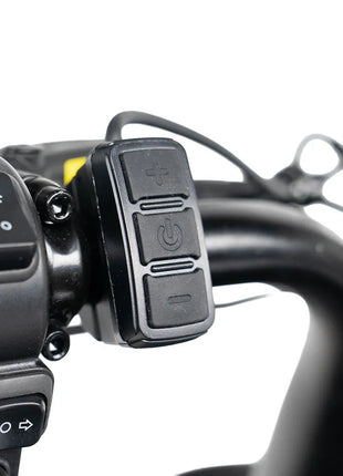 QmWheel S20 Pro – Zwart