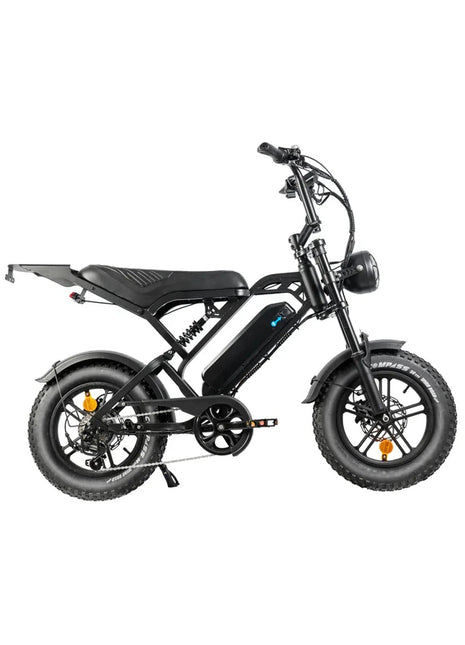 QmWheel V20 Mini Fatbike